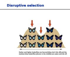Sampling selection
