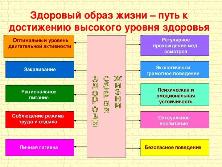 Здоровый образ жизни 8 класс. Общие понятия о здоровье ОБЖ. Основные концепции здоровья человека. Ценности здорового образа жизни. Конспект здоровье ОБЖ.