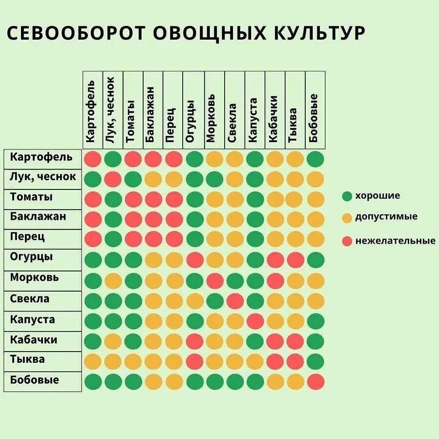 Тыква совместимость