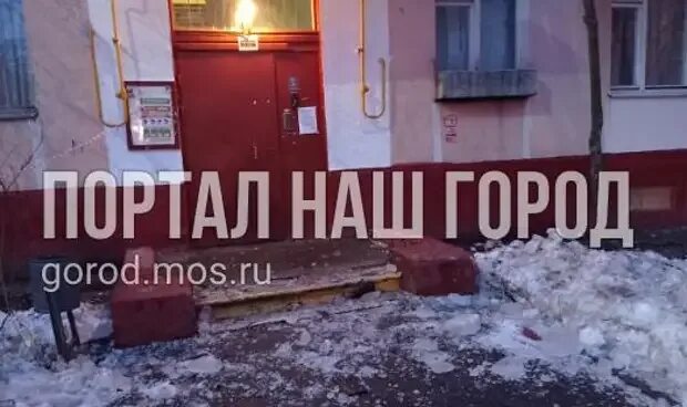 Вырубка деревьев на бульваре генерала карбышева. Вырубка деревьев на бульваре генерала карбышева