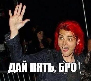 Данный бро