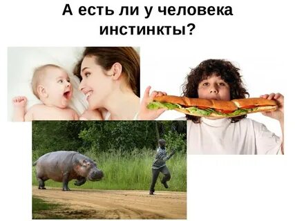 Инстинкт бывает у людей