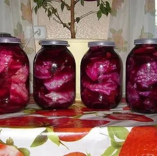 Капуста с бураком быстрый засол кусками