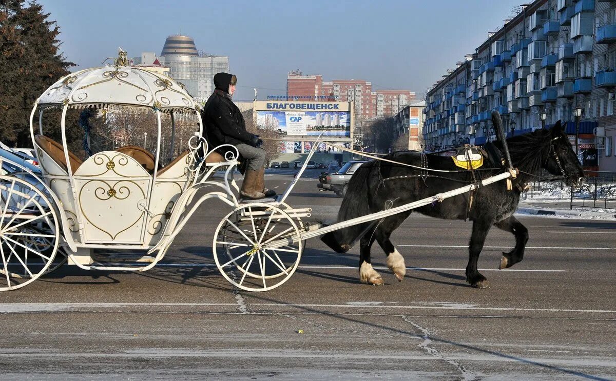 Карета Багратиона. Карета Дилижанс Петергоф. Фаэтон в России карета 19 век. Тип кузова кареты где пассажиры сидят напротив