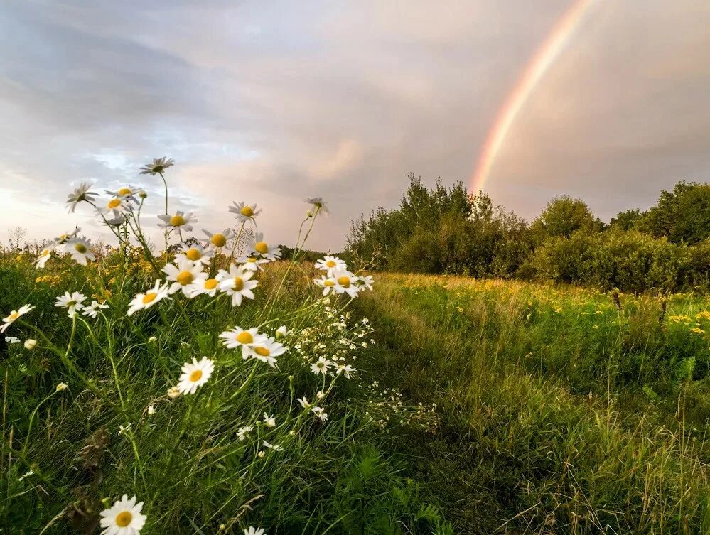 Июль август. Лето. Лето июль. Июнь природа. Лето июль природа.