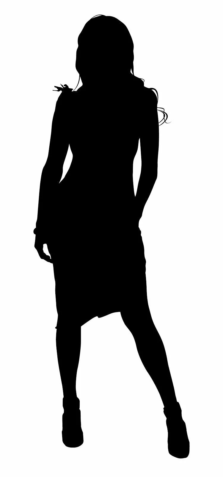 Силуэт женщины в полный рост. Женскаяфигуора силуэт. Очертания девушки. Очертания девушки. Очертания девушки.