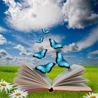 Раскрытая книга бабочки