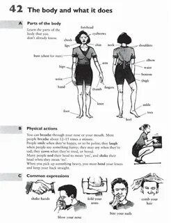 Body meaning