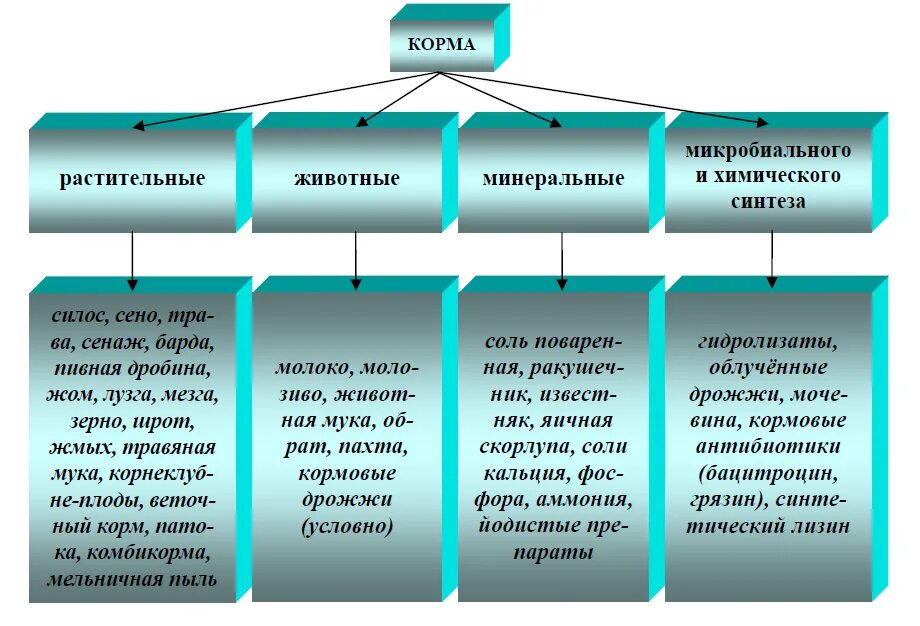 Основные группы кормов. Классификация кормов растительного происхождения. Типы кормов классификация. Классификация корма СХ животных. Классификация кормов сельского хозяйства.