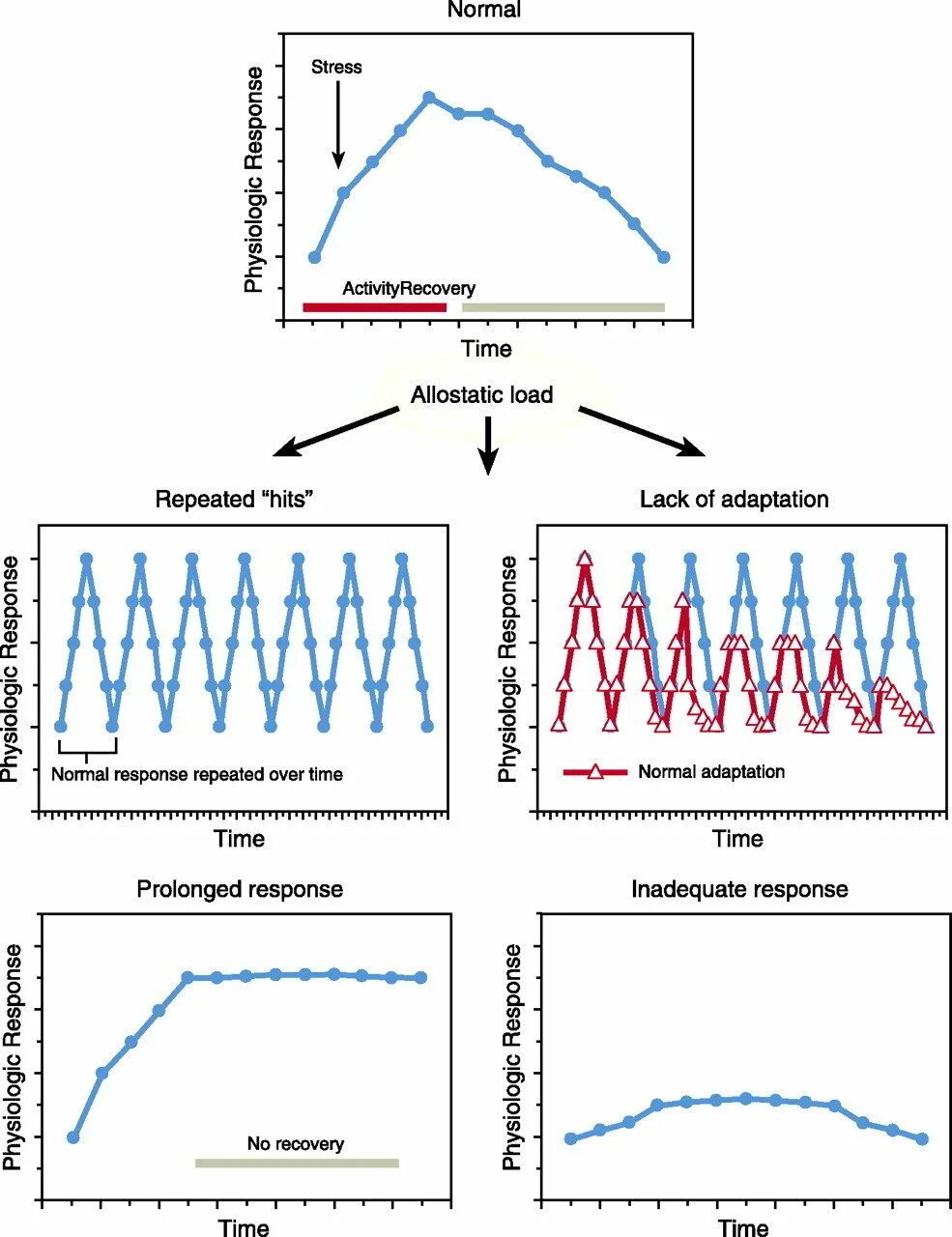 Physiological response