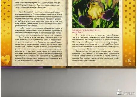 Цветы аннотация