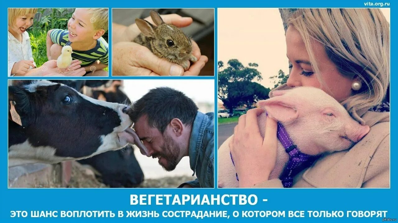 Веган животное