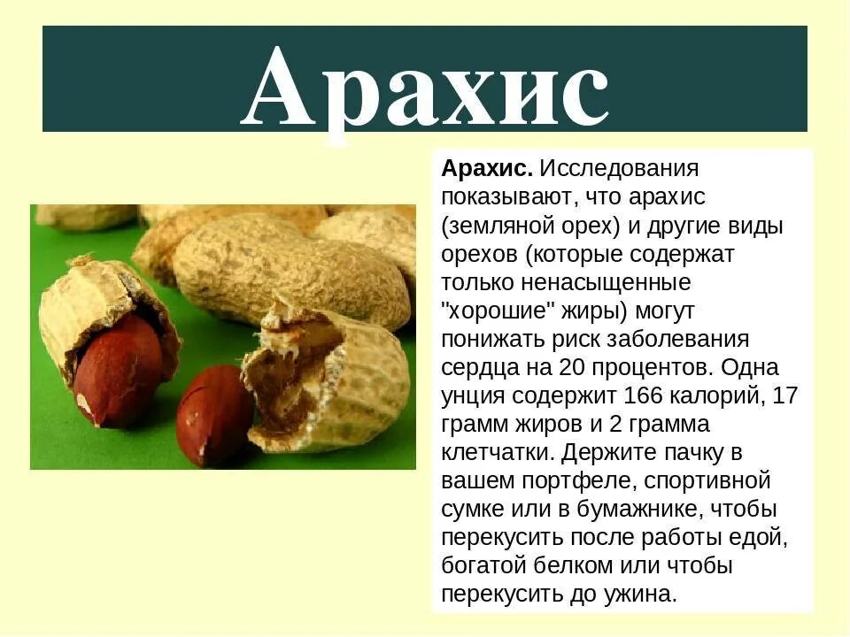 Земляной орех калорийность. Чем полезен арахис. Арахис калорийность. Арахис польза. Может ли арахис