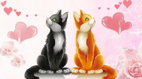 Cute animal cat valentines day hd free wallpaper.