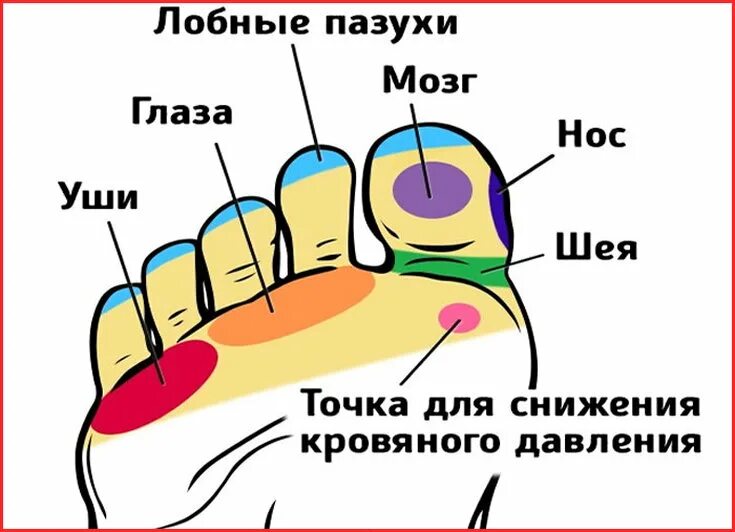 Давление на руке и ноге. Точки тела массаж для снижения артериального давления. Точки акупрессуры для снижения давления. Точки на руке для понижения давления акупунктура. Акупунктурные точки для снижения высокого давления.