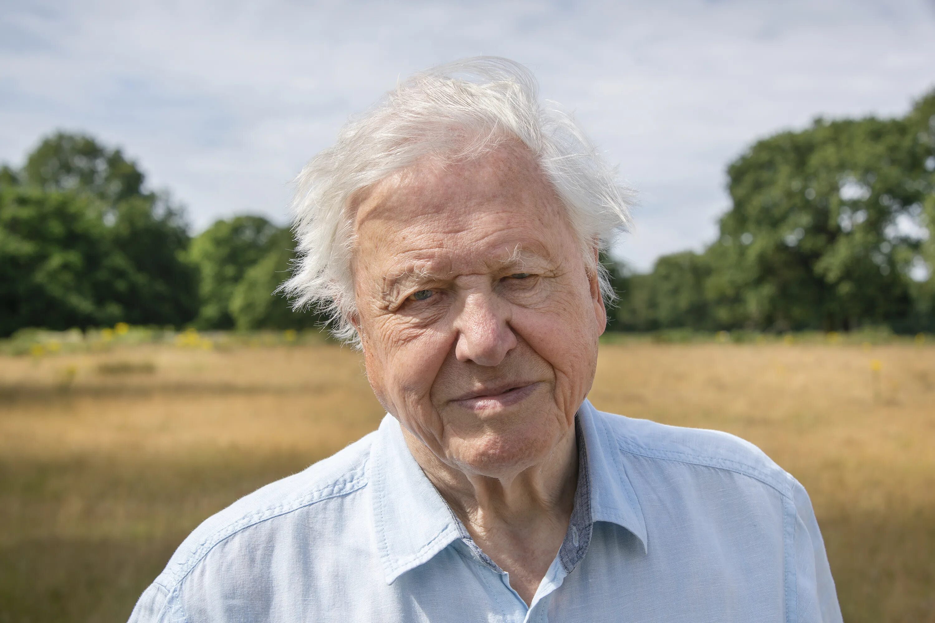Sir david. Дэвид аттенборо. сэр дэвид аттенборо. david attenborough в молодости.