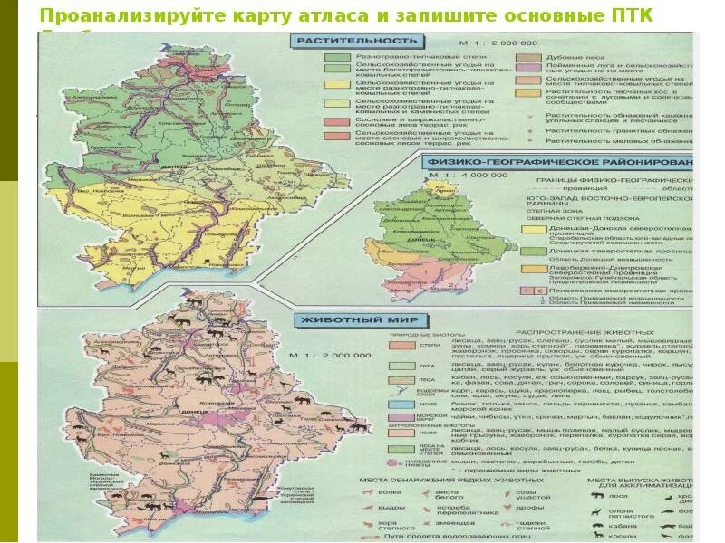 Птк россии 8. Карта природно территориальных комплексов. Природно-территориальные комплексы России. Природно-территориальные комплексы России на карте. Природно-территориальные комплексы. Донбасса.