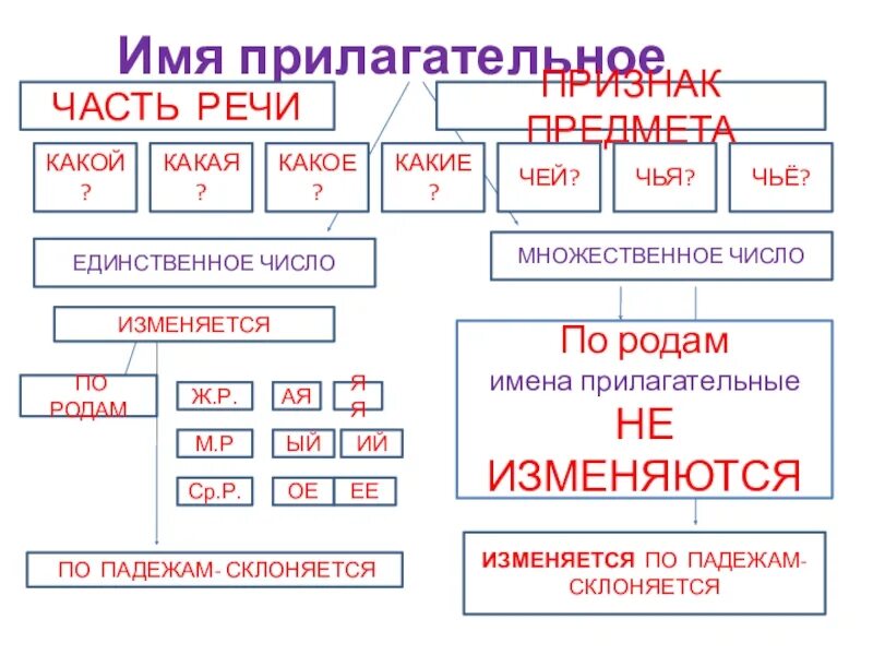 Кто что изменяется по родам и числам. Часть речи которая не изменяется по падежам. Чей чья часть речи. Имена прилагательные во множественном числе изменяются по родам. Какой чей какая часть речи.