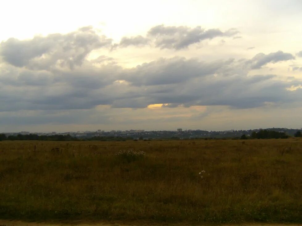 лес вдали. слева вдалеке. тропинка вдоль реки. слева вдалеке. деревенские тропинки марий эл.