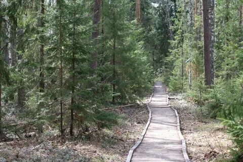 Фото тропы здоровья