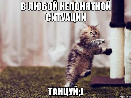 В любой ситуации танцуй