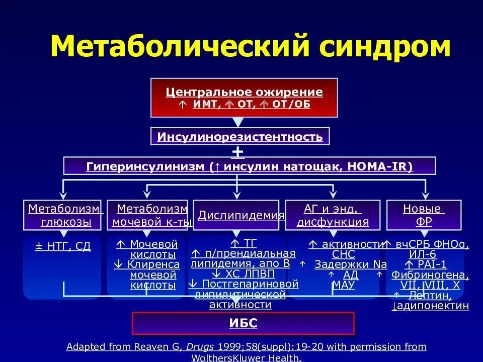 Понятие о метаболическом синдроме. Механизм развития метаболического синдрома патофизиология. Метаболический синдром клинические проявления. Патогенез метаболического синдрома схема.