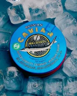 Сила сибири продукты