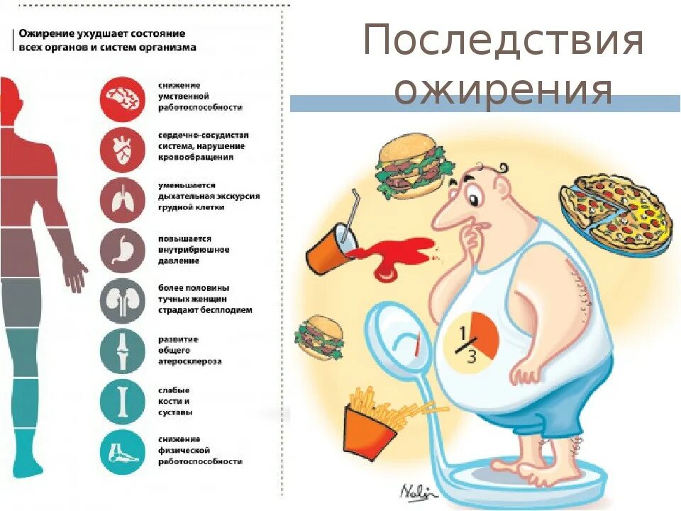 Ожирение профилактика ожирения. Профилактика избыточной массы тела. Лишний вес и заболевания.