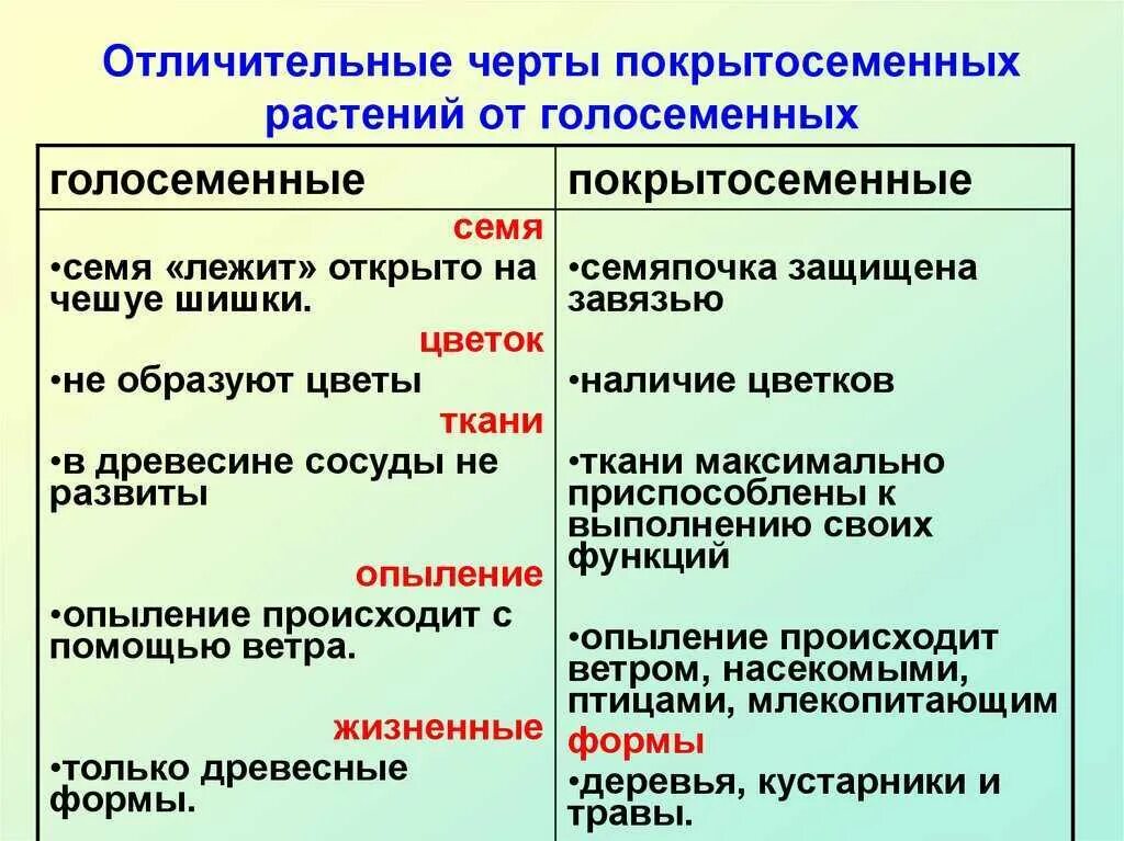 Приведите примеры голосеменных и покрытосеменных растений