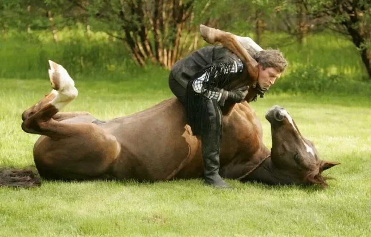Хочу быть лошадью