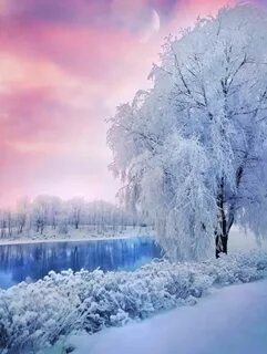 Beautiful winter day