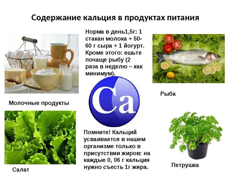 Кальций в растительных продуктах. Продукты питания содержащие кальций. Кальций в организме человека. Содержание кальция в организме. Соединения кальция в организме