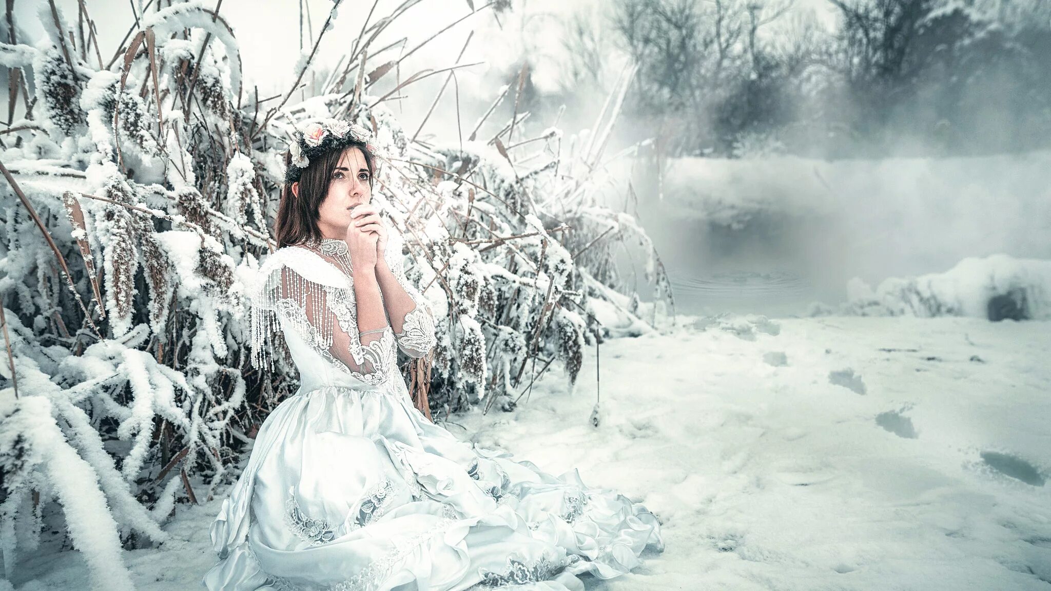 Snow model