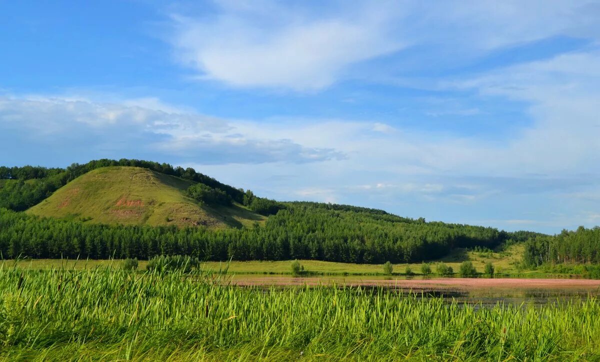погода башкирии петровское
