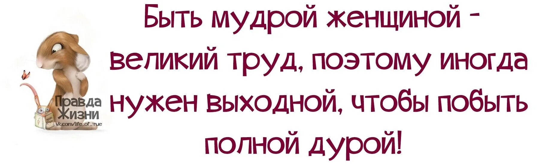 Выражения дур. Правда жизни. Смешные фразы про умных женщин. Цитаты про женщин правда жизни. Правда жизни о женщинах.