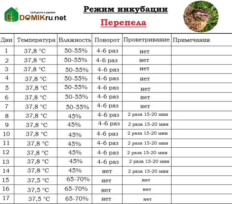 Сколько времени яйцо в инкубаторе. Режим инкубации перепелиных яиц в инкубаторе. Температура в инкубаторе для перепелиных яиц таблица. Режим инкубации перепелиных яиц в инкубаторе таблица. Таблица инкубации перепелиных яиц в инкубаторе.