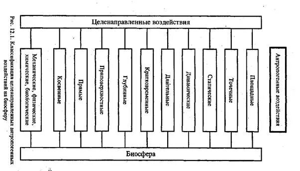 Формы антропогенного воздействия. Антропогенное влияние на биосферу. Основные формы антропогенного воздействия на биосферу. Положительное антропогенное воздействие на биосферу. Основные виды антропогенных воздействий на биосферу.