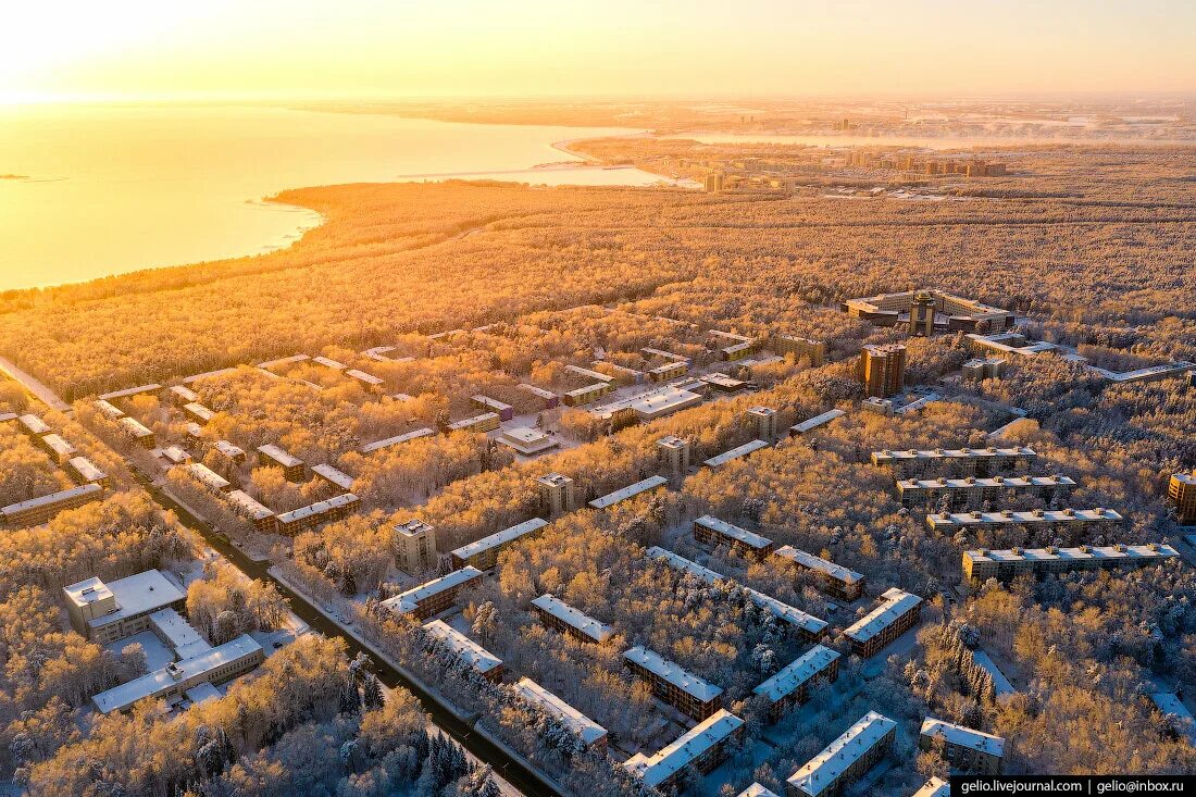 Новосибирский Академгородок Академгородок. Новосибирск научный городок. Новосибирский Академгородок зима. Академгородок Новосибирск с высоты птичьего полета. Новосибирский городок