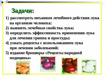 Почему полезен лук