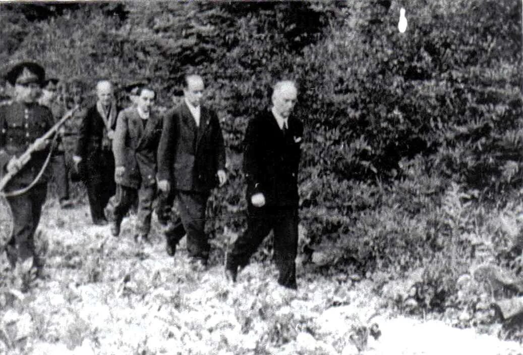 маршал тухачевский. антонеску, йон расстрел. мюрат расстрел. казнь антонеску кинохроника. расстрел маршала.