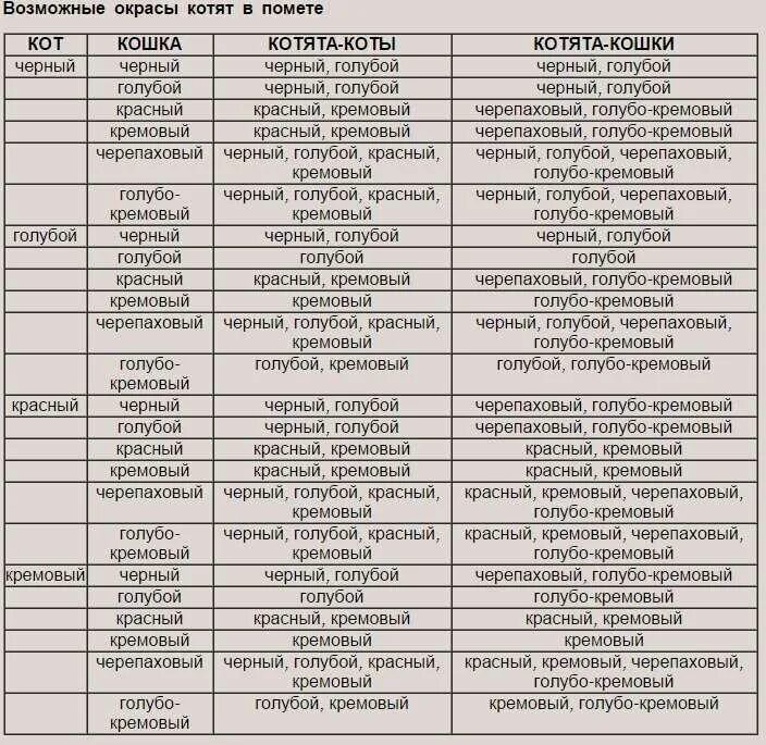 Код окраса. Таблица генетики окрасов шотландских кошек. Окрас котят Мейн кунов таблица. Окрасы шотландских кошек таблица. Таблица совместимости окрасов Мейн кунов.
