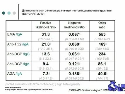 Анализ антитела к тканевой трансглутаминазе