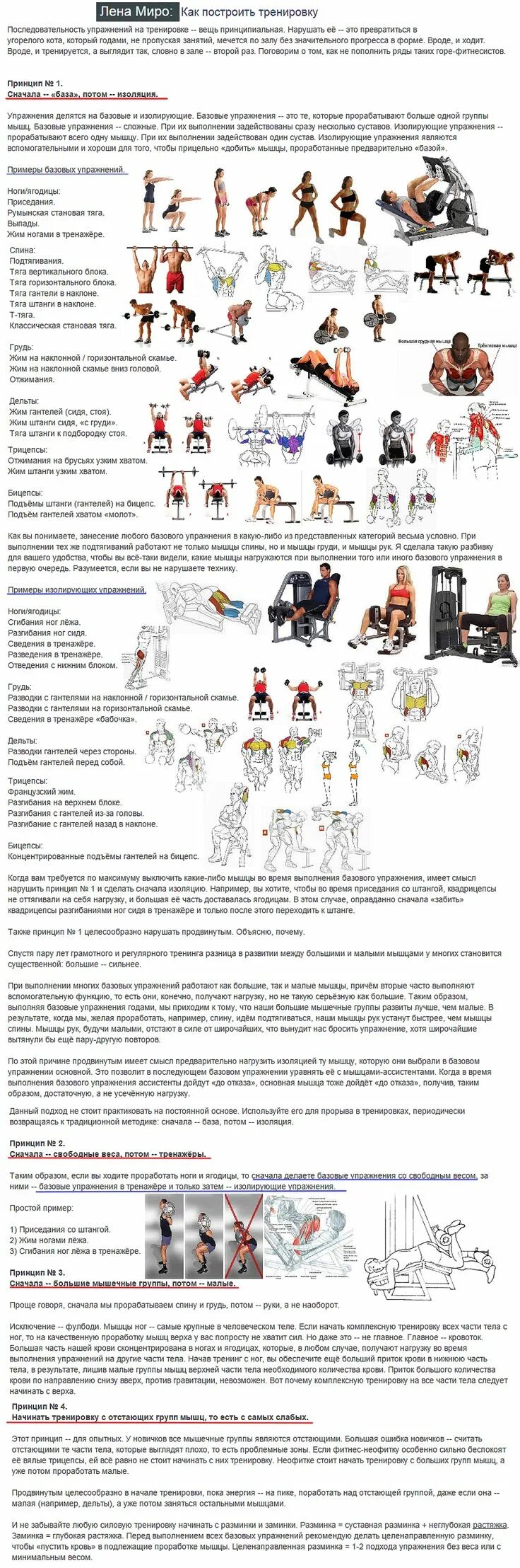 Как правильно выстроить тренировки