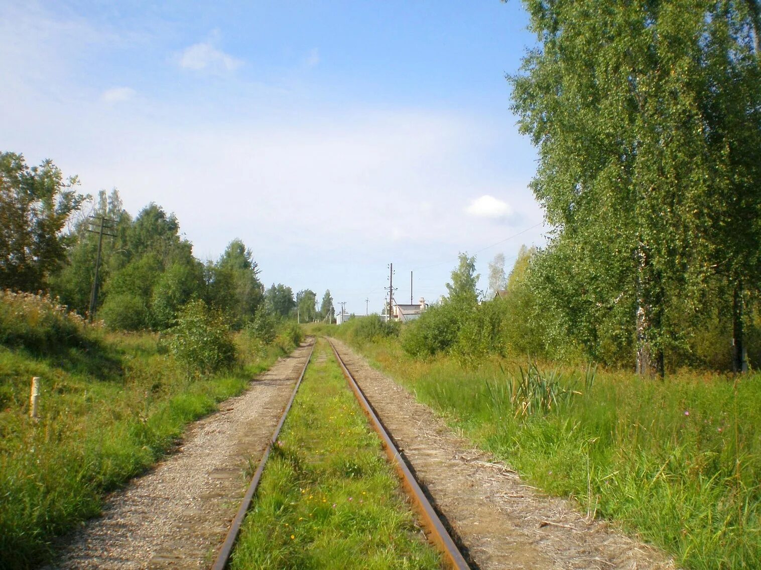 Окуловка Неболчи. Неболчи Новгородская область. Поселок Неболчи Любытинского района Новгородской области. Любовь Шаховская Неболчи.