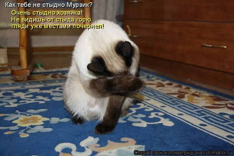 Картина стыдно. Знаешь очень стыдно. Мне очень стыдно. Знаешь очень стыдно. Плакат стыдно.