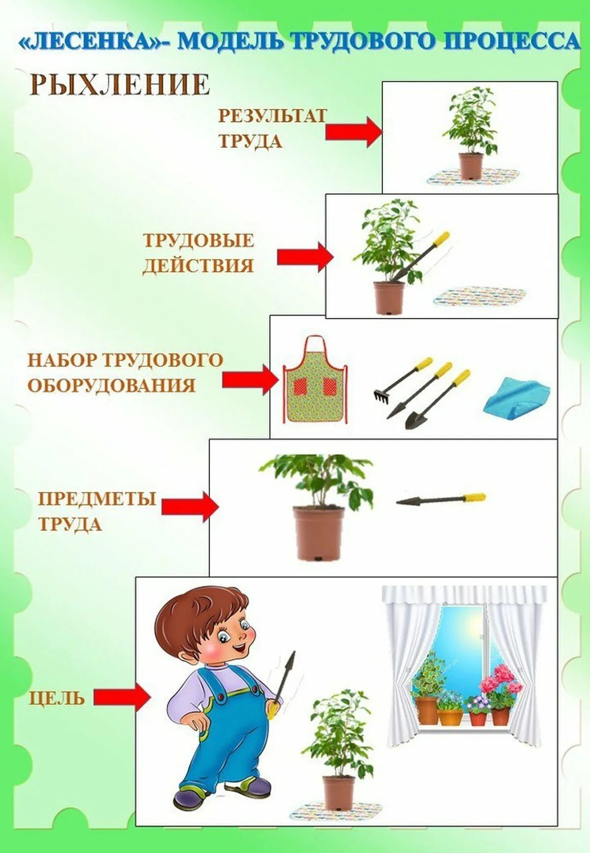 Труд детей в природе. Комнатные цветы старшая группа. Комнатные растения в детском саду. Труд детей в природе в детском саду. Труд по уходу за растениями.