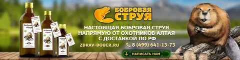 Бобровая струя охотники