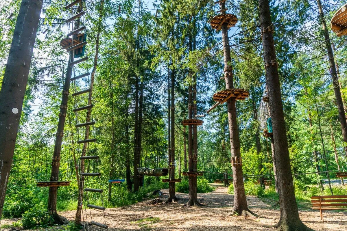 Веревочный парк в карелии петрозаводска. Шервуд парк карелия веревочный парк. Веревочный парк петрозаводск. Норвежский веревочный парк в барвихе. Веревочный парк norway park.