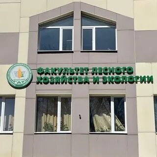 Факультеты лесного хозяйства
