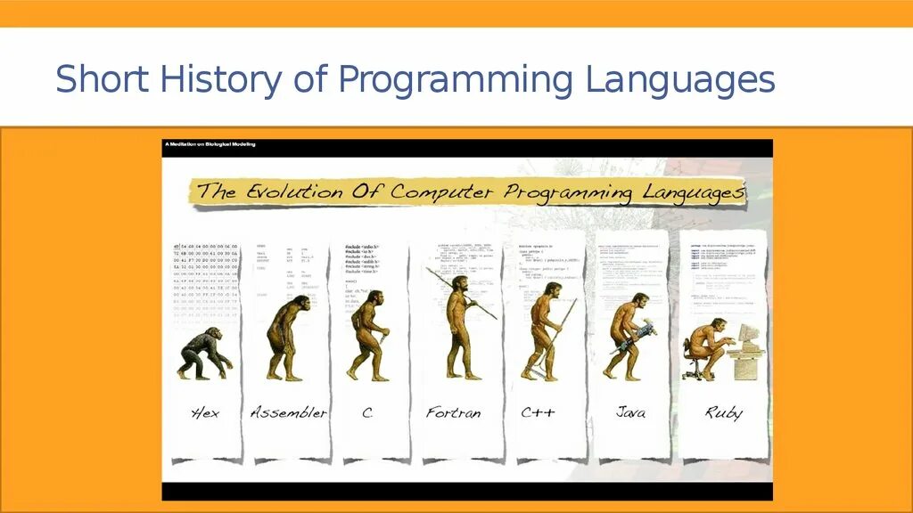 Programming languages pdf. History of Programming languages. Мертвые языки программирования. Буклет мертвые языки программирования. Programmer Evolution.